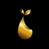 AlgoPear Logo