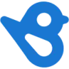 Birdeye Logo
