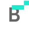 Bitskout Logo