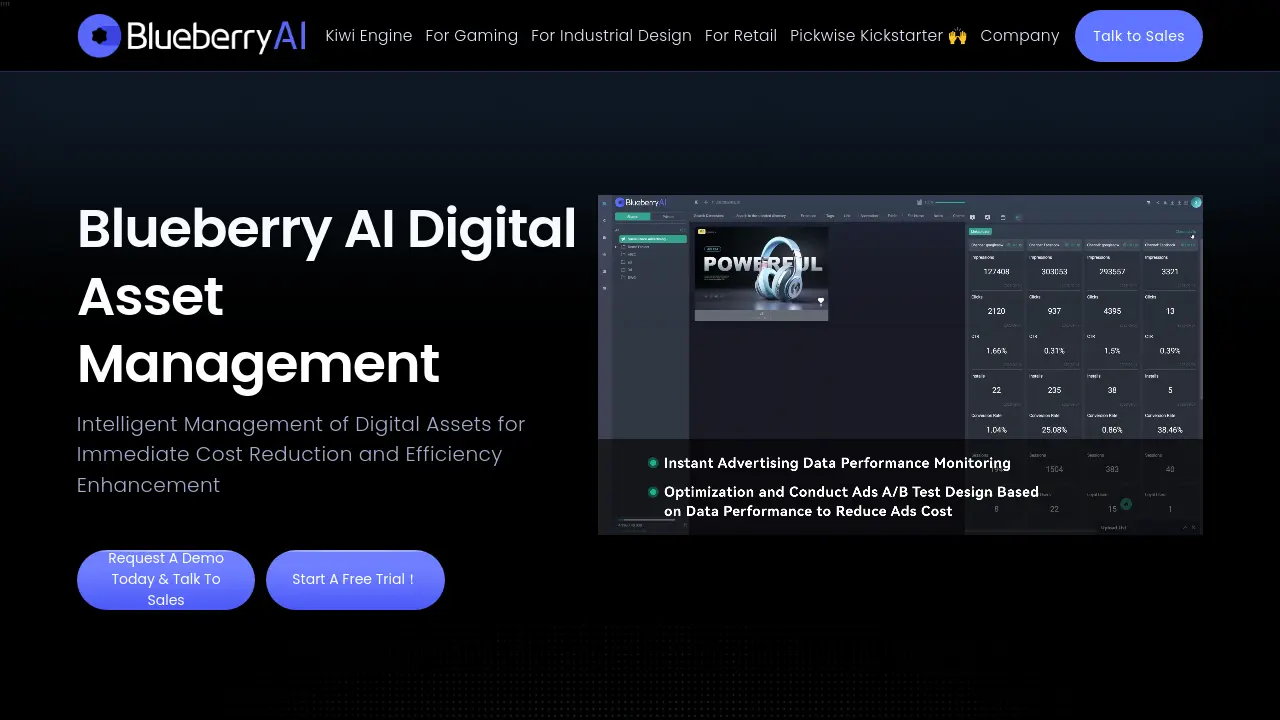 Screenshot of Blueberry AI Digital Asset Management