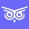 Brandwise Logo