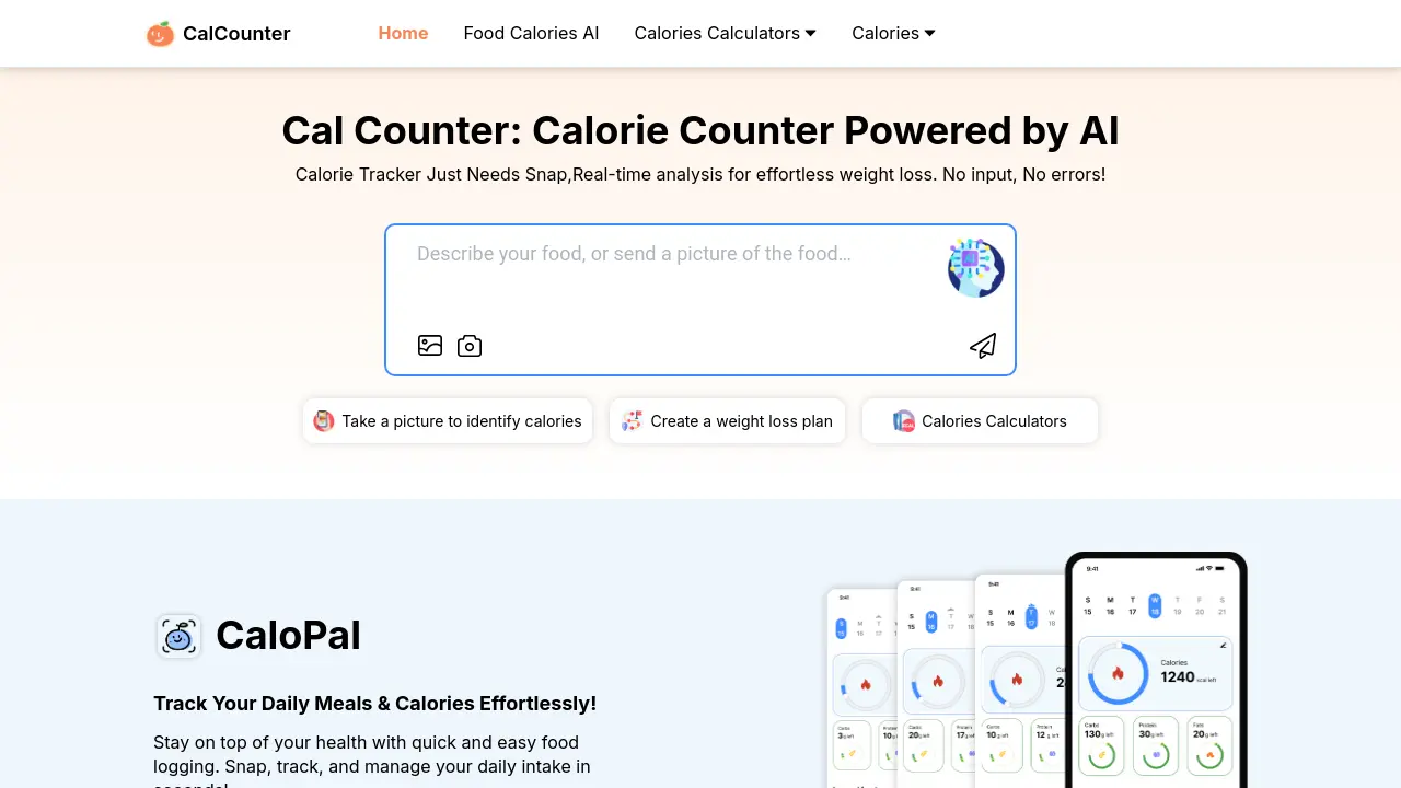 Screenshot of CalCounter