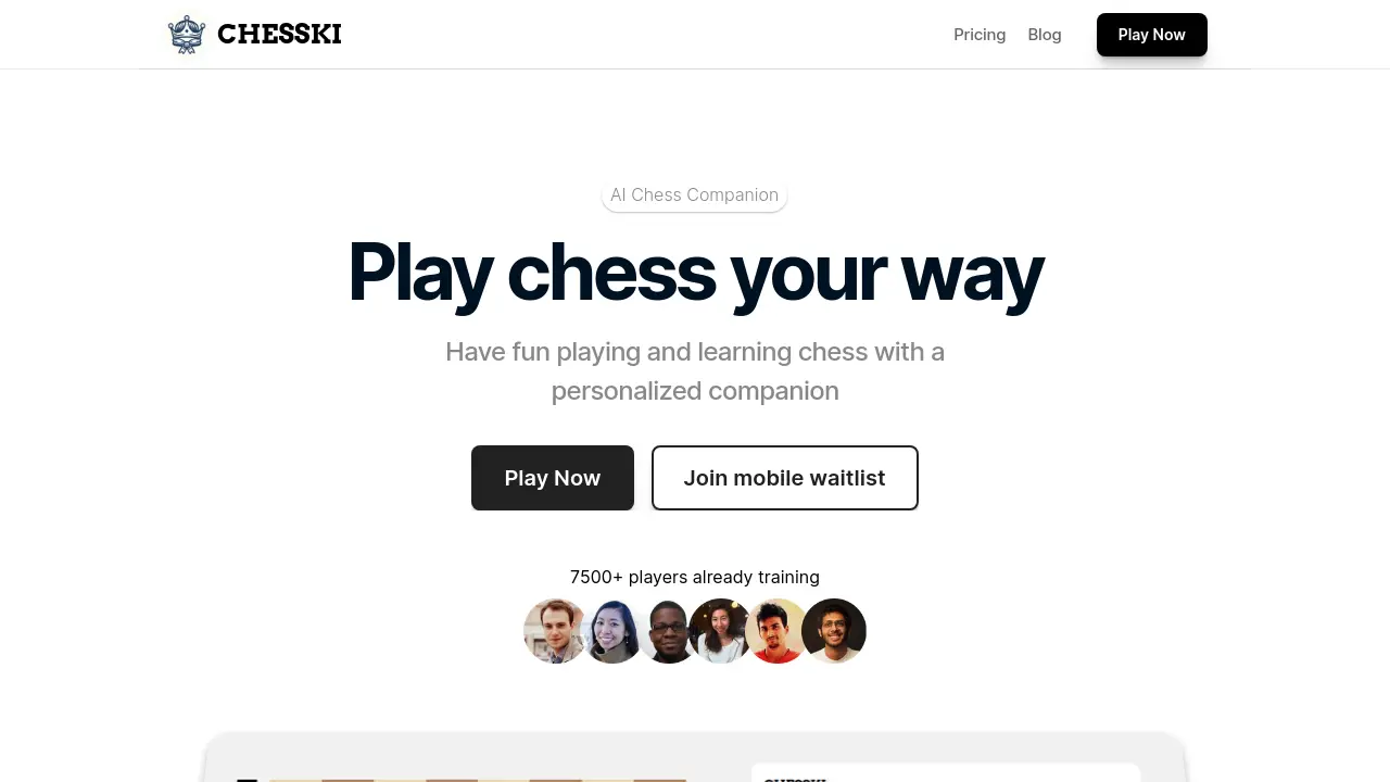 Screenshot of CHESSKI