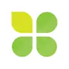 Clover 四叶新媒体 Logo
