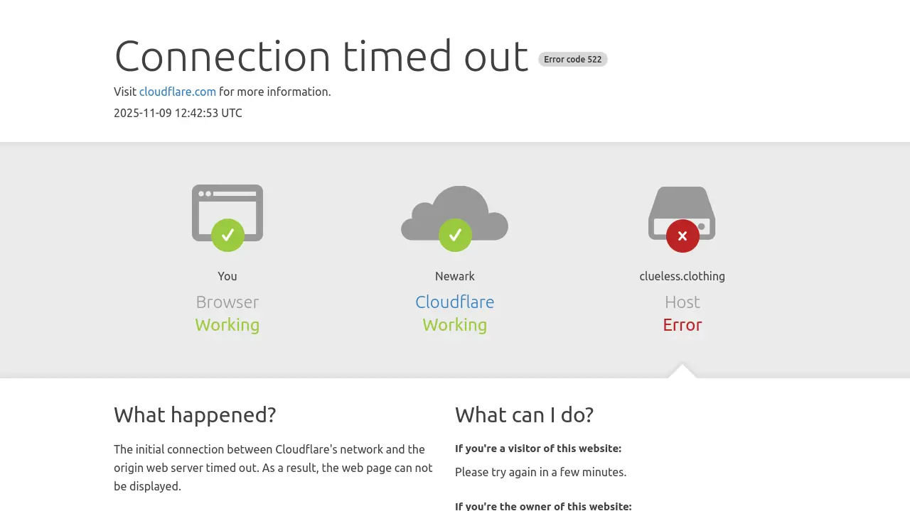 Screenshot of Clueless Clothing