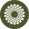 Cocoon Logo