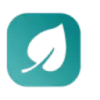 DigitalPharmacy.io Logo