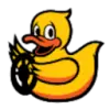 Duckietown Logo