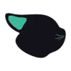 Flaneer Logo