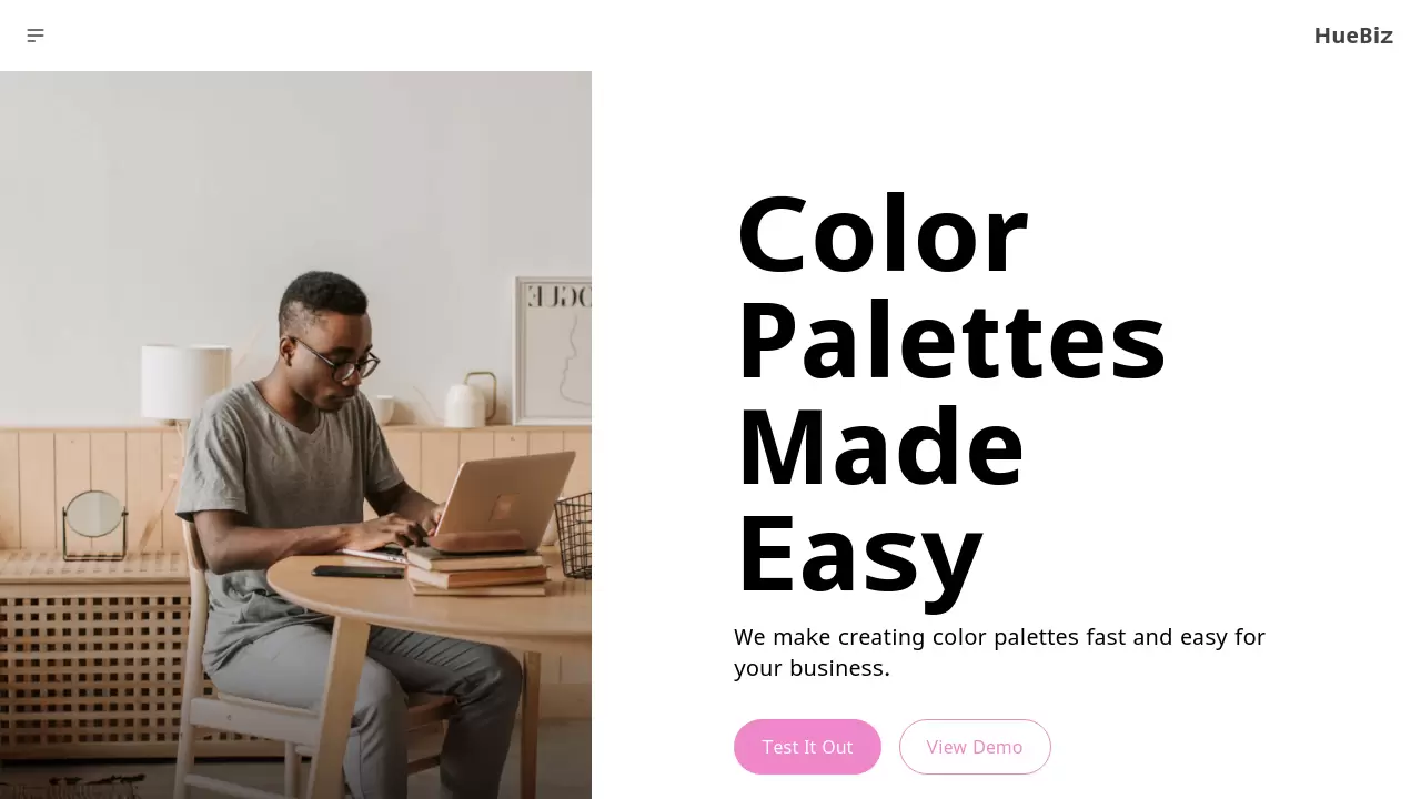 Screenshot of HueBiz