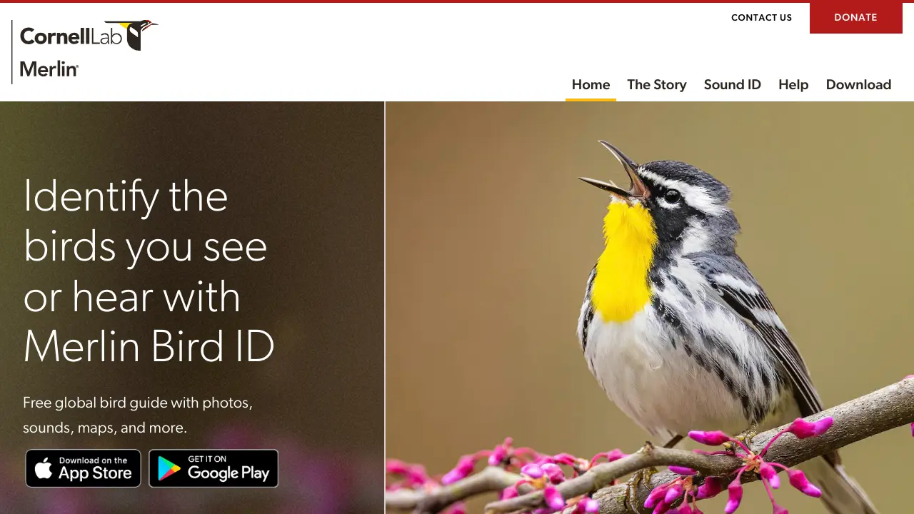 Screenshot of Merlin Bird ID