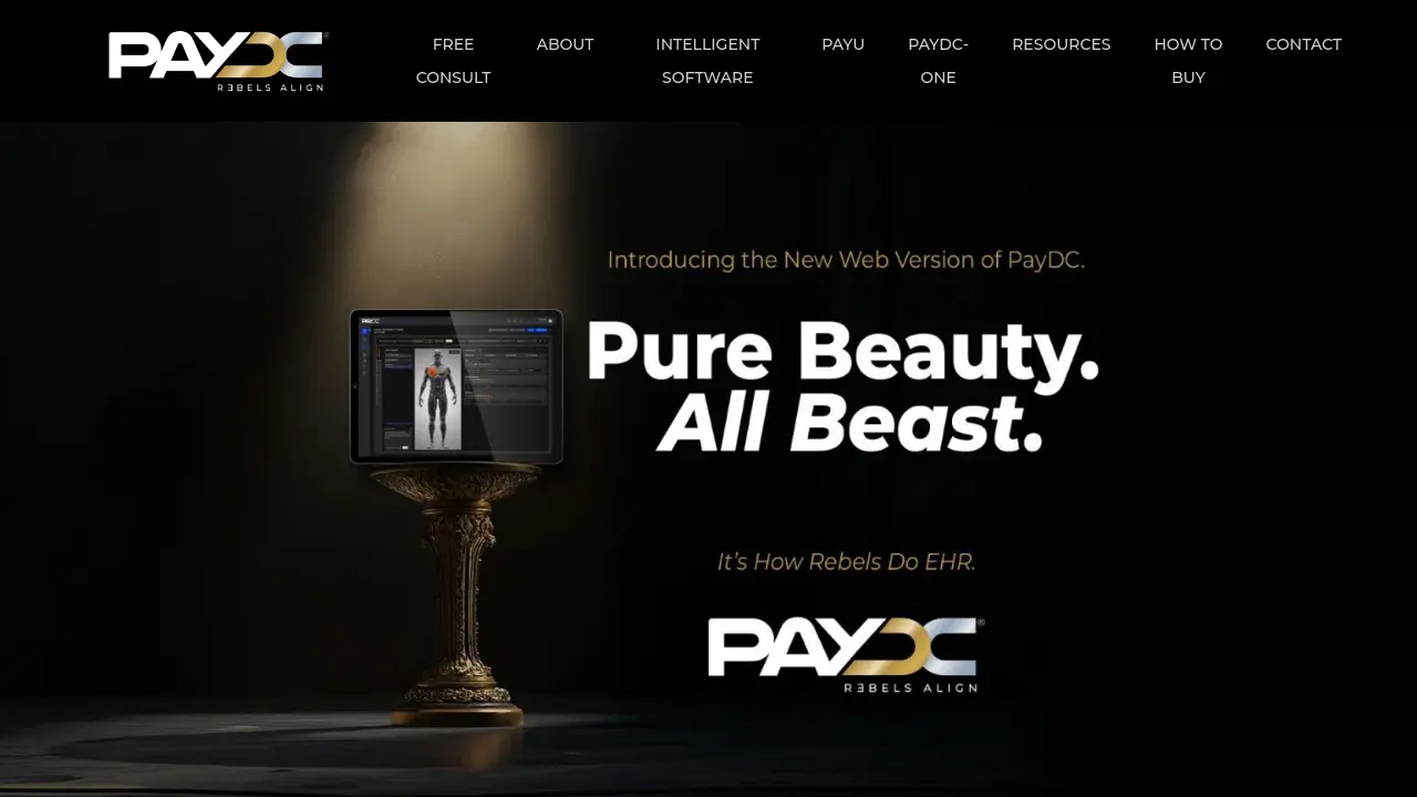 Screenshot of PayDC Chiropractic Software