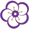 Plum Amazing Logo