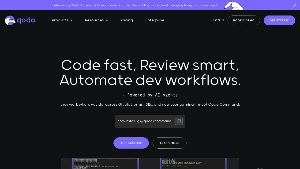 Screenshot of Qodo