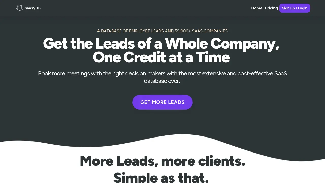 Screenshot of saasyDB