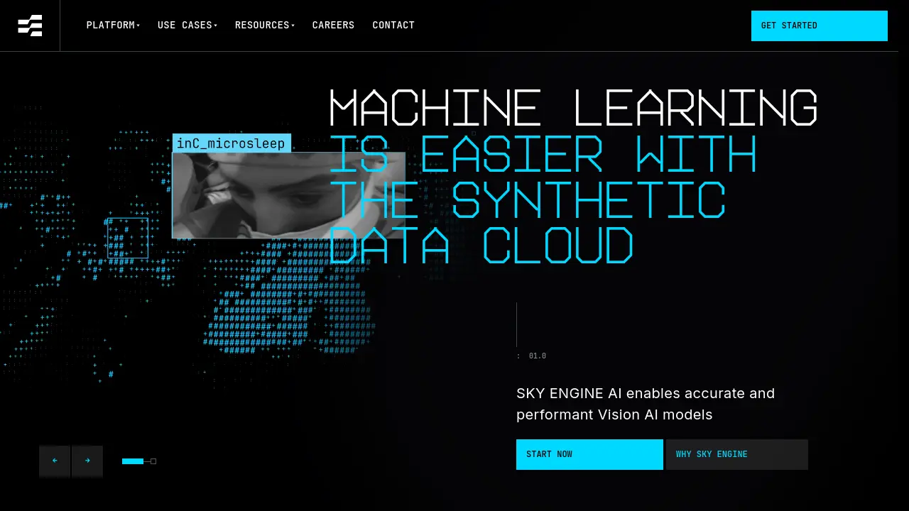 Screenshot of SKY ENGINE AI