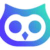 SocialOwl Logo