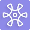 Sopact Sense Logo