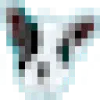 Tendenci Logo