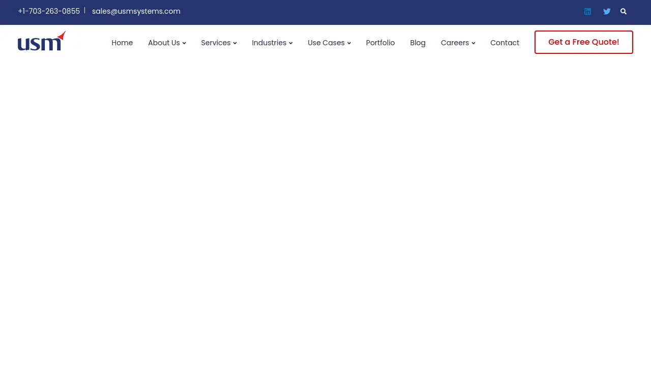 Screenshot of USM Business Systems AI Services