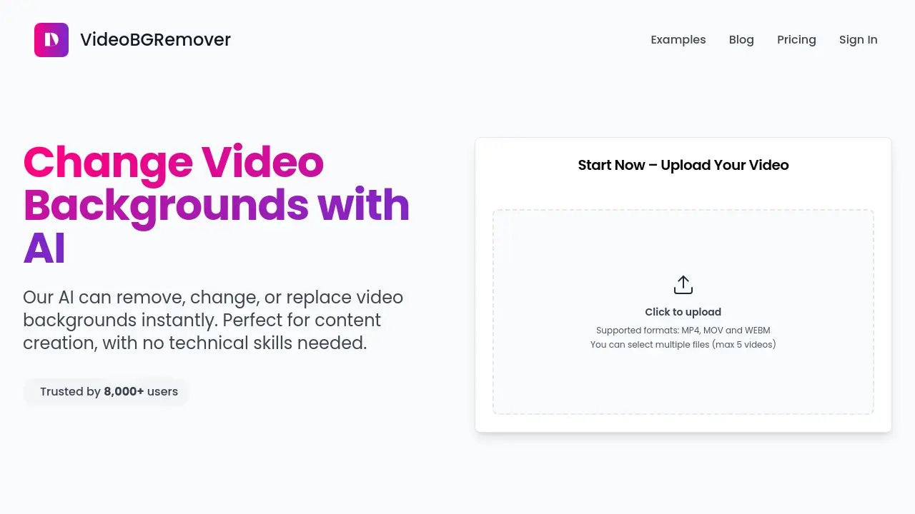 Screenshot of VideoBGRemover